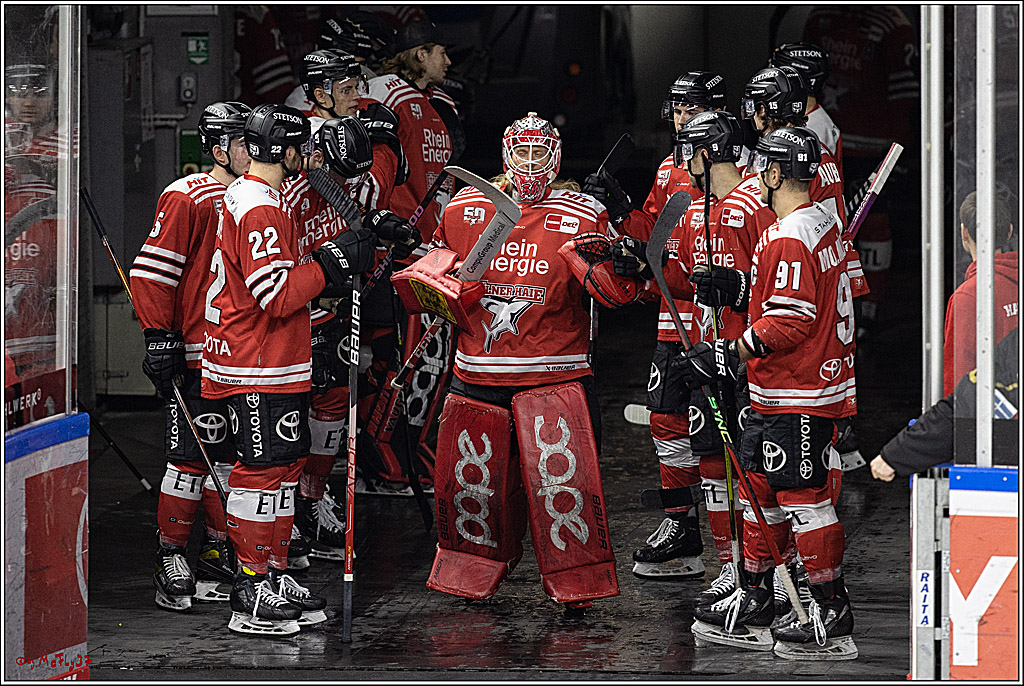 PENNY DEL;  Koelner Haie - Bietigheim Steelers; Koeln, 22.01.2023